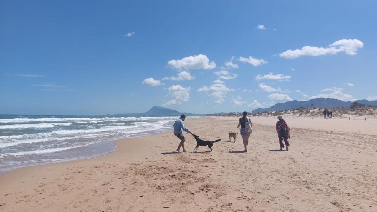Amanacer Oliva Διαμέρισμα Εξωτερικό φωτογραφία